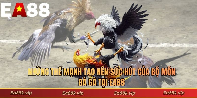 Những thế mạnh tạo nên sức hút của bộ môn đá gà tại EA88